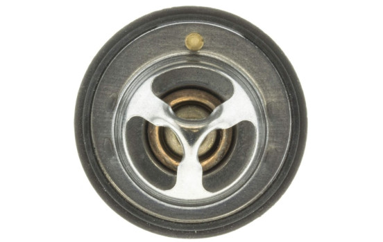 Termostat, kylvätska, bild 4