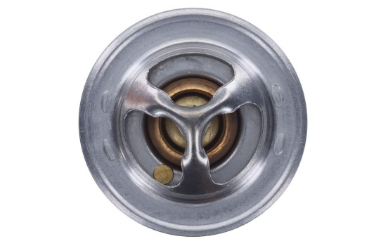 Termostat, kylvätska, bild 6