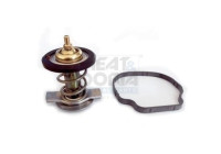 Termostat, kylvätska