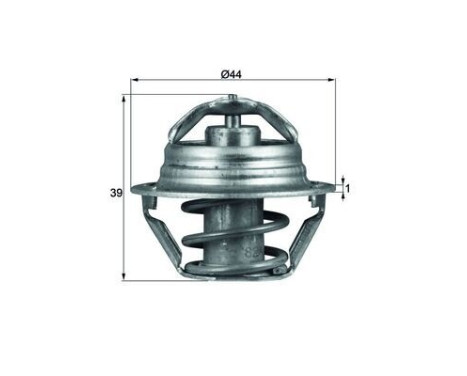 Termostat, kylvätska, bild 2