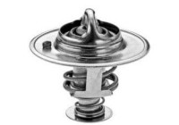 Termostat, kylvätska