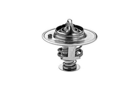 Termostat, kylvätska