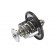 Termostat, miniatyr 2