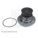 Vattenpump ADG09122 Blue Print, miniatyr 3
