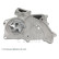 Vattenpump ADG09165 Blue Print, miniatyr 9