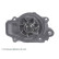Vattenpump ADH29114 Blue Print, miniatyr 4