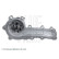 Vattenpump ADN19162 Blue Print, miniatyr 5