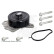 Vattenpump ADT391100 Blue Print, miniatyr 2