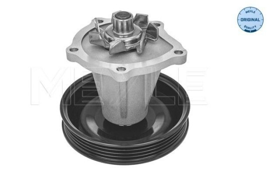 Vattenpump MEYLE-ORIGINAL: True to OE.