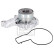 Vattenpump, motorkylning 76009 FEBI