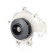 Vattenpump, motorkylning, miniatyr 2