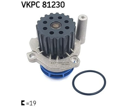 Vattenpump VKPC 81230 SKF