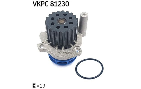 Vattenpump VKPC 81230 SKF