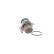 Vattenpump VKPC 81302 SKF, miniatyr 2