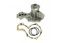Vattenpump VKPC 81402 SKF