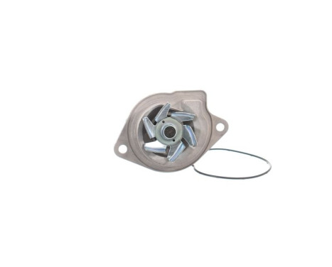 Vattenpump VKPC 81407 SKF, bild 5