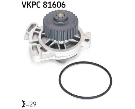 Vattenpump VKPC 81606 SKF