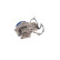 Vattenpump VKPC 84416 SKF, miniatyr 2