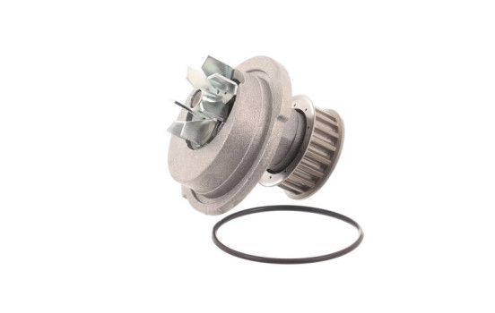 Vattenpump VKPC 90202 SKF, bild 3