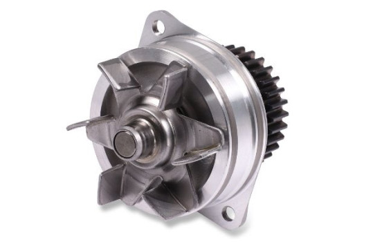 Vattenpump, bild 2