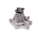 Vattenpump, miniatyr 2