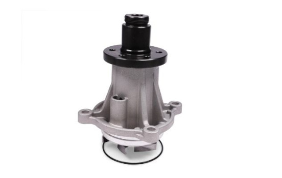 Vattenpump, bild 2