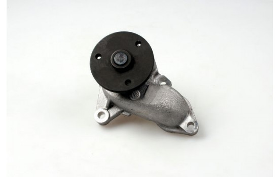 Vattenpump