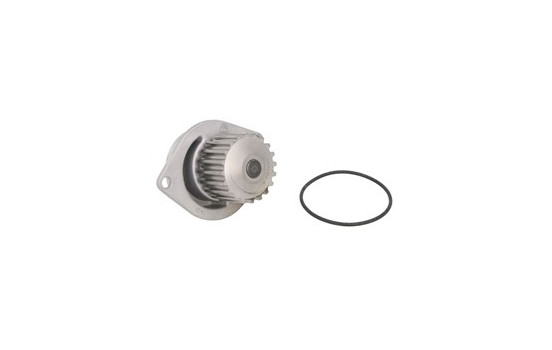Vattenpump, bild 2
