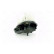 Kupéfläkt 87179 Nissens, miniatyr 3