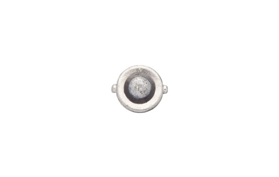 Bosch Trucklight T2W, 24V2W, Image 6
