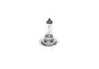 Bosch Bulb, headlight 12V H18 PY26D-1