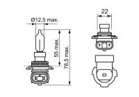 Bosch light bulb 12V HIR2 PX22d