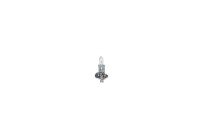 Bosch Pure Light H1, 12V55W