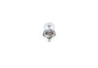 Bosch R2 (Bilux), P45t