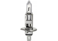 Clear Vision H1 55W / 12V Halogen Lamp, per piece (E13)