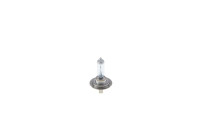 H7 light bulb
