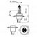 Philips LongLife EcoVision H4, Thumbnail 4
