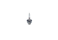 Bosch Xenon lamp D2R
