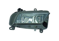 Fog lamp 1019089 Diederichs