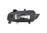 Fog lamp 1080188 Diederichs