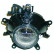 Fog lamp 1215088 Diederichs