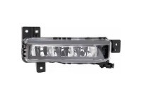 Fog lamp 1219188 Diederichs