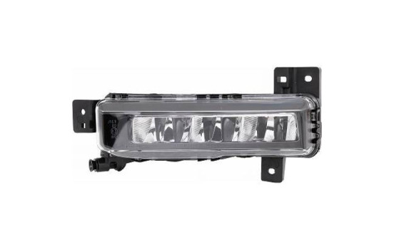 Fog lamp 1219189 Diederichs
