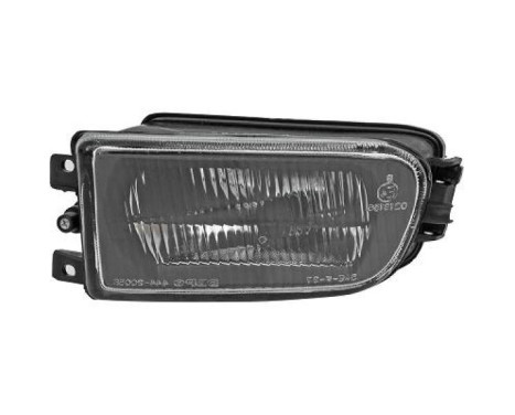 Fog lamp 1223189 Diederichs
