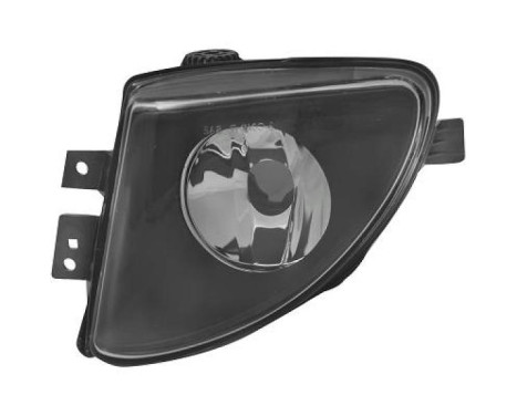 Fog lamp 1225689 Diederichs