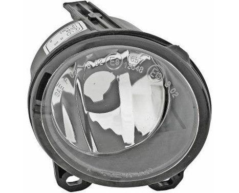 Fog lamp 1290188 Diederichs
