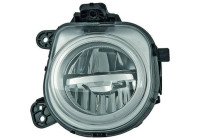 Fog lamp 1293089 Diederichs