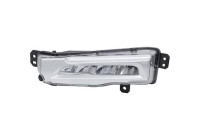 Fog lamp 1293189 Diederichs