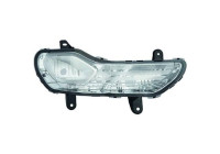 Fog lamp 1471087 Diederichs