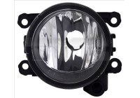 Fog lamp 19-15214-01-9 TYC